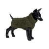 PAIKKA Handmade Knit Sweater 1 PAIKKA Handmade Knit Sweater -Honden Benodigdheden paikka handmade knit green maat 20 134443 2000 none