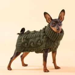 PAIKKA Handmade Knit Sweater -Honden Benodigdheden paikka handmade knit sweater green 217735 0500 none