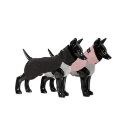 PAIKKA Recovery Winter Shirt 41 PAIKKA Recovery Winter Shirt -Honden Benodigdheden paikka recovery winter shirt 217785 2000 none