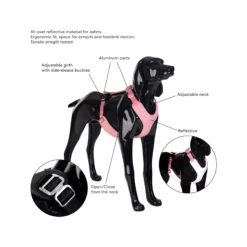 PAIKKA Visibility Harness -Honden Benodigdheden paikka visibility harness 217810 2000 none
