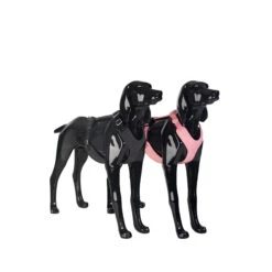 PAIKKA Visibility Harness -Honden Benodigdheden paikka visibility harness 217813 2000 none