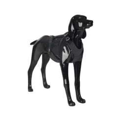 PAIKKA Visibility Harness -Honden Benodigdheden paikka visibility harness dark s 134557 2000 none