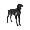 PAIKKA Visibility Harness 1 PAIKKA Visibility Harness -Honden Benodigdheden paikka visibility harness dark xs 134555 2000 none