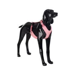 PAIKKA Visibility Harness -Honden Benodigdheden paikka visibility harness pink xs 134556 2000 none
