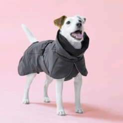 PAIKKA Visibility Winter Jacket -Honden Benodigdheden paikka visibility winter jacket 217796 2000 none