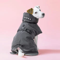 PAIKKA Visibility Winter Jacket -Honden Benodigdheden paikka visibility winter jacket 217797 2000 none