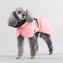 PAIKKA Visibility Winter Jacket -Honden Benodigdheden paikka visibility winter jacket 217799 2000 none