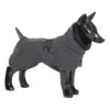 PAIKKA Visibility Winter Jacket -Honden Benodigdheden paikka visibility winter jacket dark maat 45 134546 2000 none