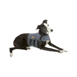 Petlife KarmaWrap Hond -Honden Benodigdheden petlife karmawrap hond 154186 1000 none