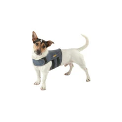 Petlife KarmaWrap Hond -Honden Benodigdheden petlife karmawrap hond 154189 1000 none