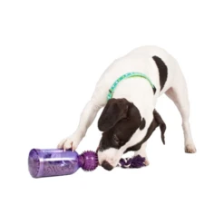 PetSafe Tug-a-Jug -Honden Benodigdheden petsafe tug a jug 216335 0500 none