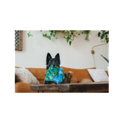 P.L.A.Y. Fetching Flock - Peacock -Honden Benodigdheden play fetching flock peacock 182614 0500 none