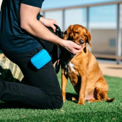 Popware Pooch Pouch Treatbag -Honden Benodigdheden popware pooch pouch treatbag 164698 2000 none