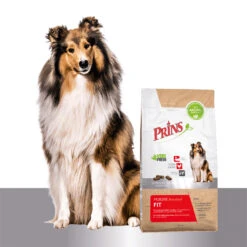Prins ProCare Standard Fit -Honden Benodigdheden prins procare standard fit 171673 1500 none