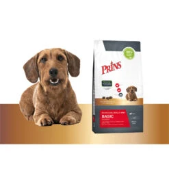Prins Protection Croque Mini Basic Excellent -Honden Benodigdheden prins protection croque mini basic excellent 172066 1500 none