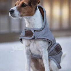 Kentucky Dog Coat Reflective & Waterrepellent -Honden Benodigdheden prod 15746 219013 0500 none