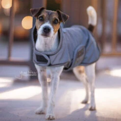 Kentucky Dog Coat Reflective & Waterrepellent -Honden Benodigdheden prod 15746 219014 0500 none