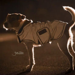 Kentucky Dog Coat Reflective & Waterrepellent -Honden Benodigdheden prod 15746 219015 0500 none