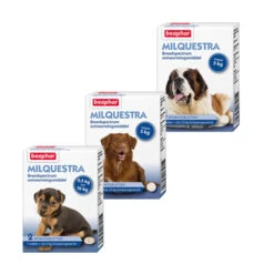 Beaphar Milquestra Hond -Honden Benodigdheden product beaphar milquestra hond none 4 1463566026 68931