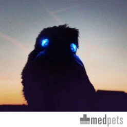 Curli Luumi -Honden Benodigdheden product curli luumi none 4 1497346293 87283