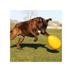 Jolly Egg 20 Jolly Egg -Honden Benodigdheden product jolly egg none 4 1496839893 86965