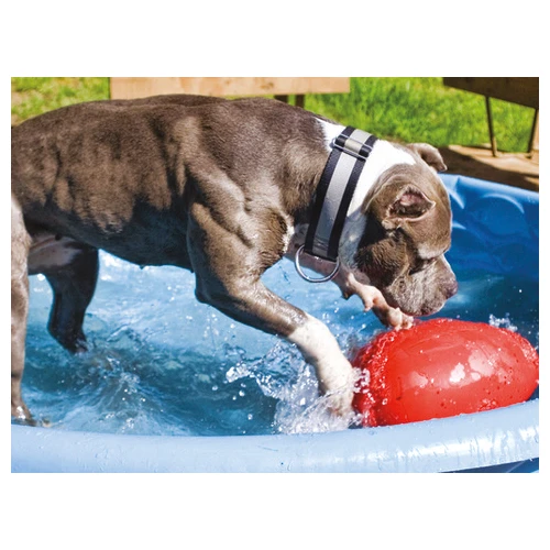 Jolly Egg 12 Jolly Egg - Afbeelding 10