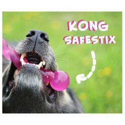 KONG Safestix -Honden Benodigdheden product kong safestix none 4 1458633926 66969