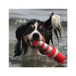 Rogz Lighthouse -Honden Benodigdheden product rogz lighthouse none 4 1485526267 82936