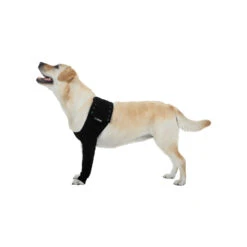 Suitical Recovery Sleeve 21 Suitical Recovery Sleeve -Honden Benodigdheden product suitical recovery sleeve none 4 1462354749 68633
