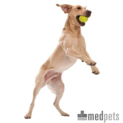 Zogoflex Jive - Dog Ball -Honden Benodigdheden product zogoflex jive dog ball medpets 4 1403519303 8234