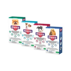 Ataxxa -Honden Benodigdheden qHDDj8RGq0OyrQuWaFNULOZfRk2Hi6 metaQXRheHhhLU92ZXJ6aWNodHNmb3RvLUpwZy5qcGc