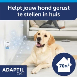 Adaptil Calm Verdamper 18 Adaptil Calm Verdamper -Honden Benodigdheden rR38fnGTIqJxqK6PHO06Gtt5WTCvvU metaQWRhcHRpbC1DYWxtLUNhcm91c3NlbC02LmpwZw