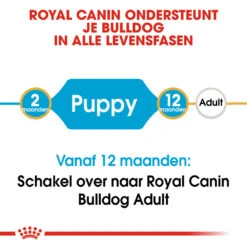 Royal Canin Bulldog Puppy - Hondenvoer -Honden Benodigdheden royal canin bulldog puppy hondenvoer 137791 1000 none