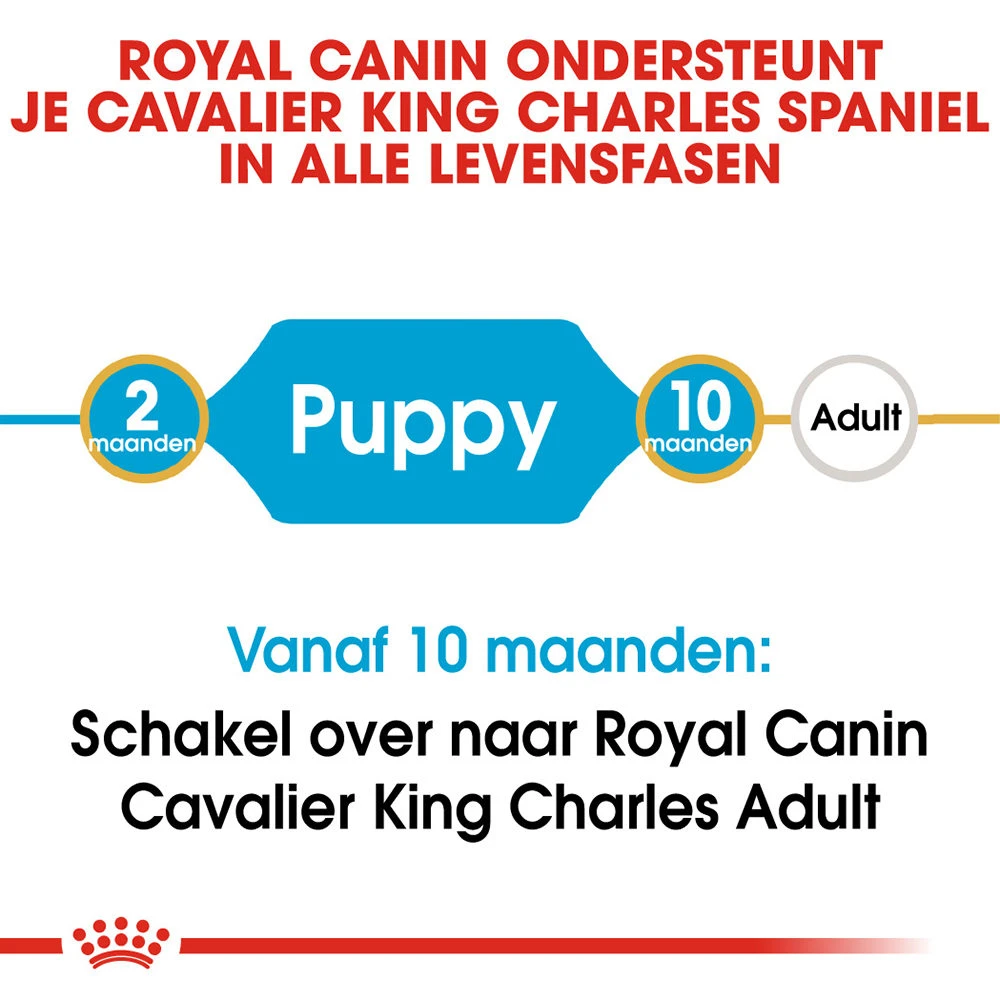 Royal Canin Cavalier King Charles Puppy - Hondenvoer 9 Royal Canin Cavalier King Charles Puppy - Hondenvoer - Afbeelding 7