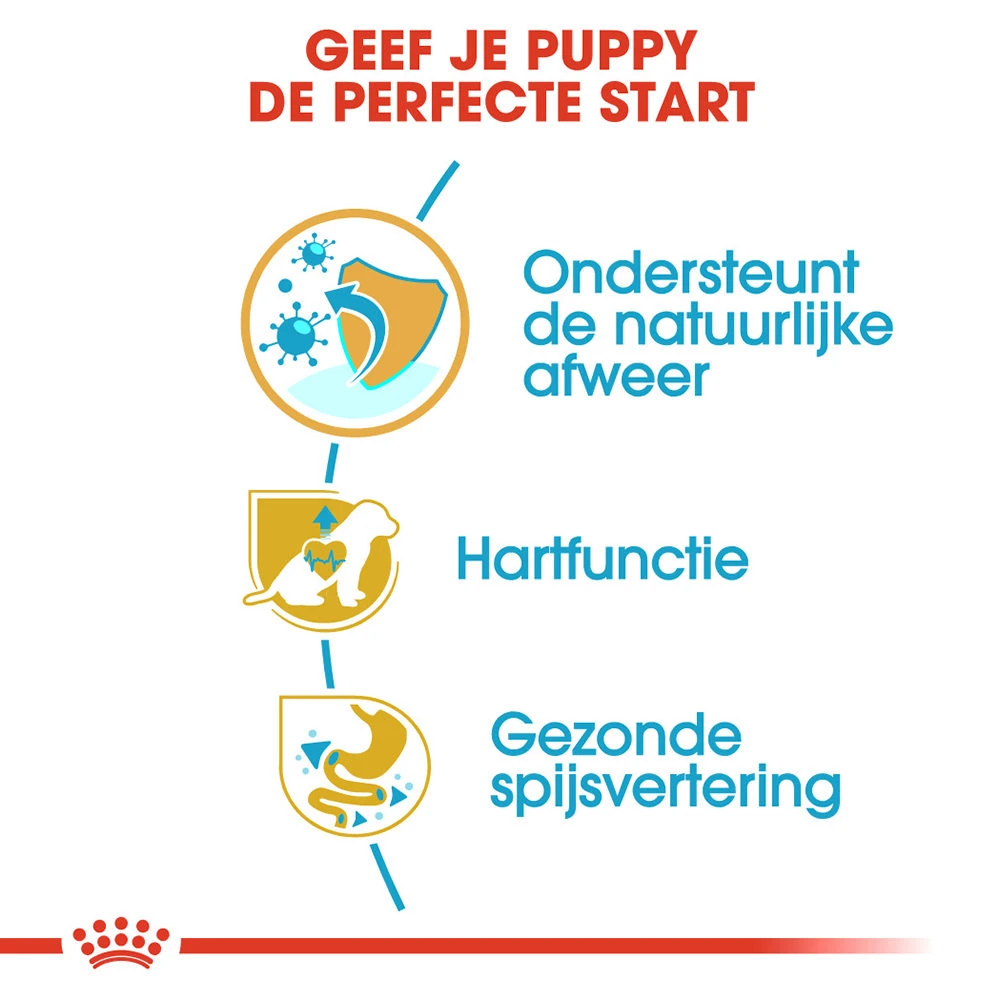 Royal Canin Cavalier King Charles Puppy - Hondenvoer 6 Royal Canin Cavalier King Charles Puppy - Hondenvoer - Afbeelding 4