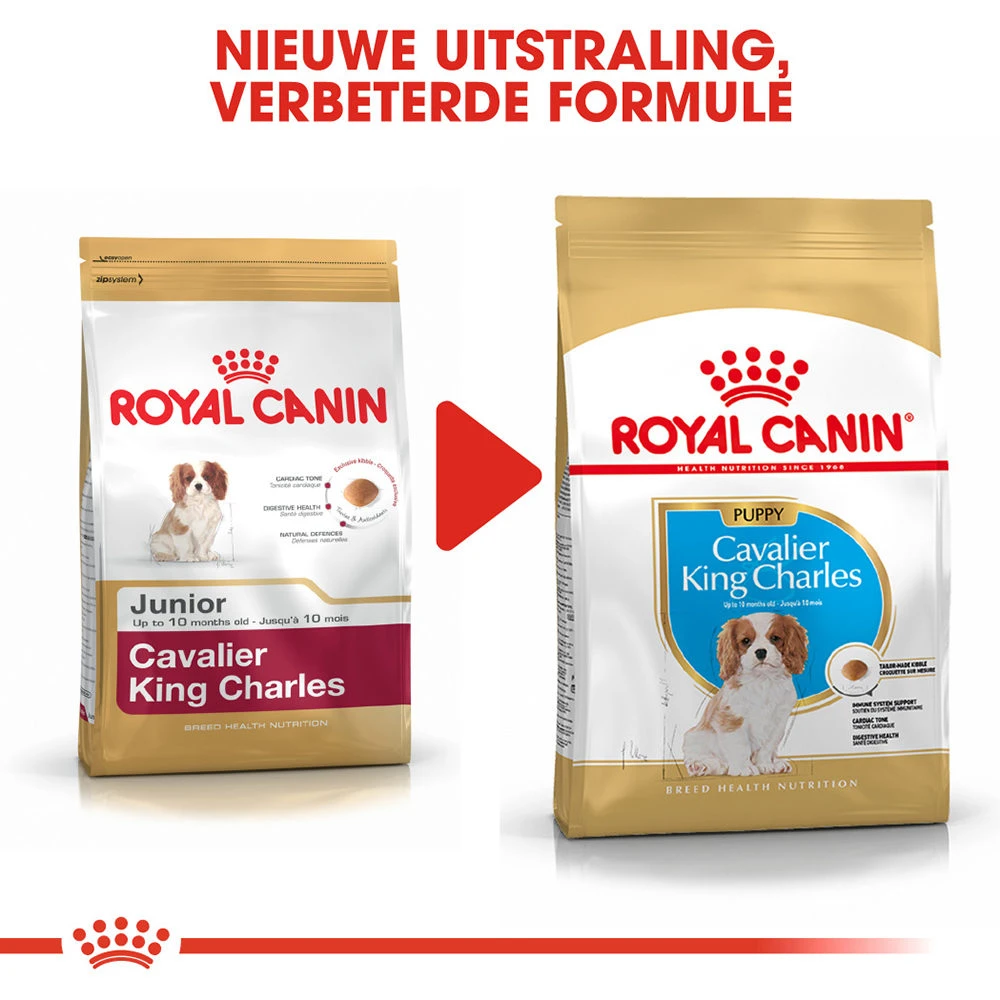 Royal Canin Cavalier King Charles Puppy - Hondenvoer 4 Royal Canin Cavalier King Charles Puppy - Hondenvoer - Afbeelding 2