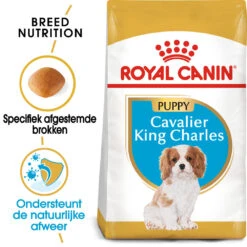 Royal Canin Cavalier King Charles Puppy - Hondenvoer 14 Royal Canin Cavalier King Charles Puppy - Hondenvoer -Honden Benodigdheden royal canin cavalier king charles puppy hondenvoer 142814 1000 none