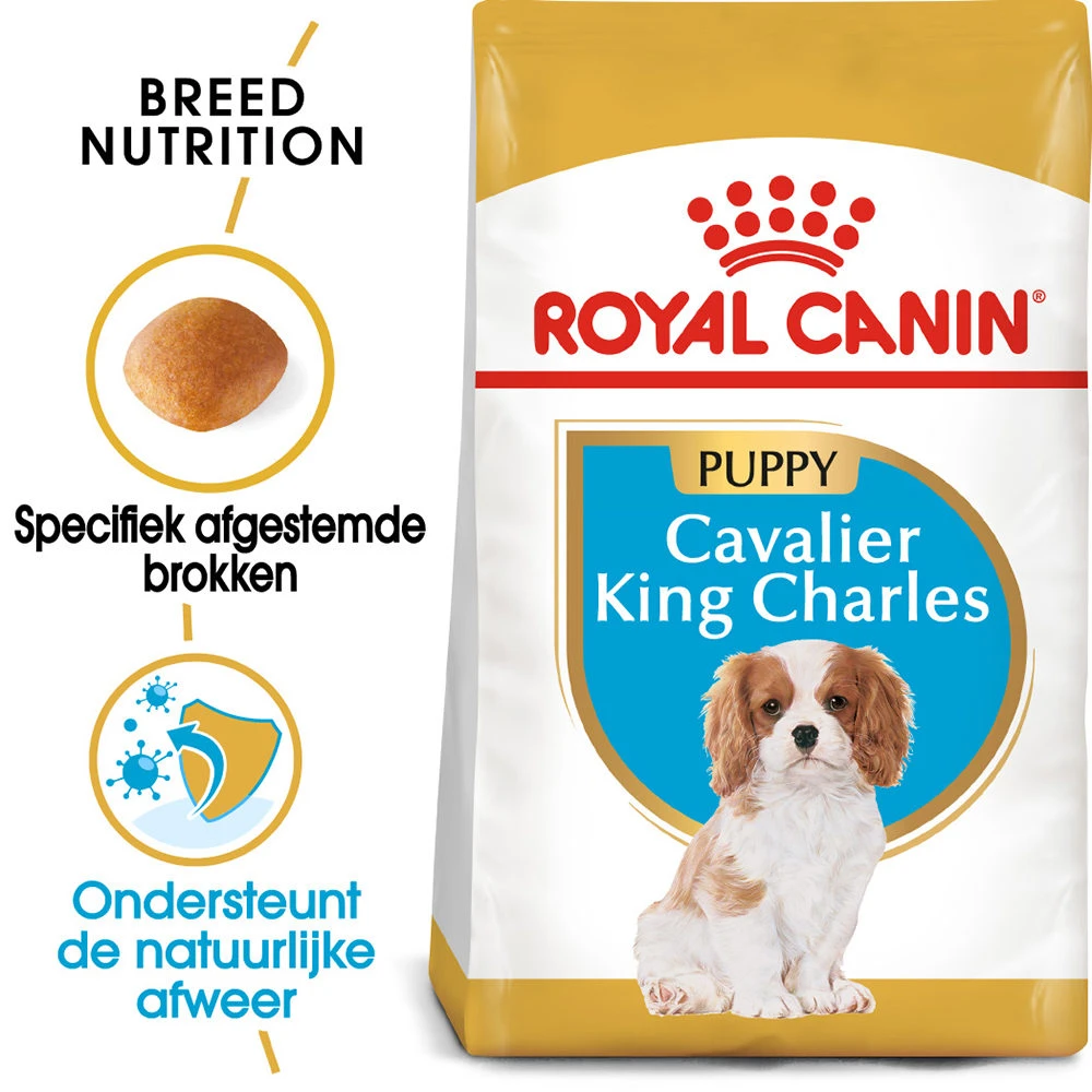 Royal Canin Cavalier King Charles Puppy - Hondenvoer 5 Royal Canin Cavalier King Charles Puppy - Hondenvoer - Afbeelding 3