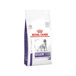 Royal Canin Dental Hond -Honden Benodigdheden royal canin dental hond 177151 0500 none
