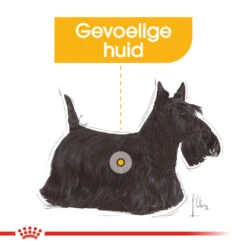 Royal Canin Dermacomfort Wet - Hondenvoer -Honden Benodigdheden royal canin dermacomfort wet hondenvoer 131624 1000 none