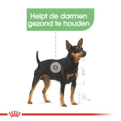 Royal Canin Digestive Care Wet - Hondenvoer -Honden Benodigdheden royal canin digestive care wet hondenvoer 131498 1000 none