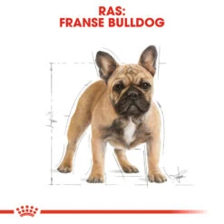 Royal Canin French Bulldog Adult - Hondenvoer -Honden Benodigdheden royal canin french bulldog adult hondenvoer 138628 1000 none