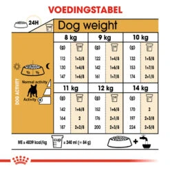Royal Canin French Bulldog Adult - Hondenvoer -Honden Benodigdheden royal canin french bulldog adult hondenvoer 138664 1000 none