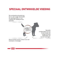 Royal Canin Gastrointestinal Low Fat Kleine Hond -Honden Benodigdheden royal canin gastrointestinal low fat kleine hond 224100 2000 none