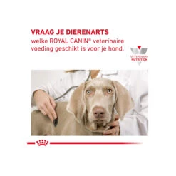 Royal Canin Gastrointestinal Low Fat Kleine Hond -Honden Benodigdheden royal canin gastrointestinal low fat kleine hond 224105 2000 none