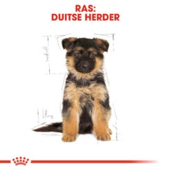 Royal Canin German Shepherd Puppy- Hondenvoer -Honden Benodigdheden royal canin german shepherd puppy hondenvoer 138844 1000 none