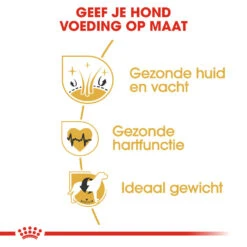 Royal Canin Golden Retriever Adult - Hondenvoer -Honden Benodigdheden royal canin golden retriever adult hondenvoer 138895 1000 none