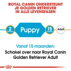 Royal Canin Golden Retriever Puppy - Hondenvoer -Honden Benodigdheden royal canin golden retriever puppy hondenvoer 138937 1000 none