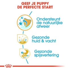 Royal Canin Golden Retriever Puppy - Hondenvoer -Honden Benodigdheden royal canin golden retriever puppy hondenvoer 138955 1000 none