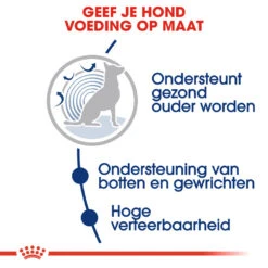 Royal Canin Maxi Ageing 8+ - Hondenvoer -Honden Benodigdheden royal canin maxi ageing 8 hondenvoer 128711 1000 none